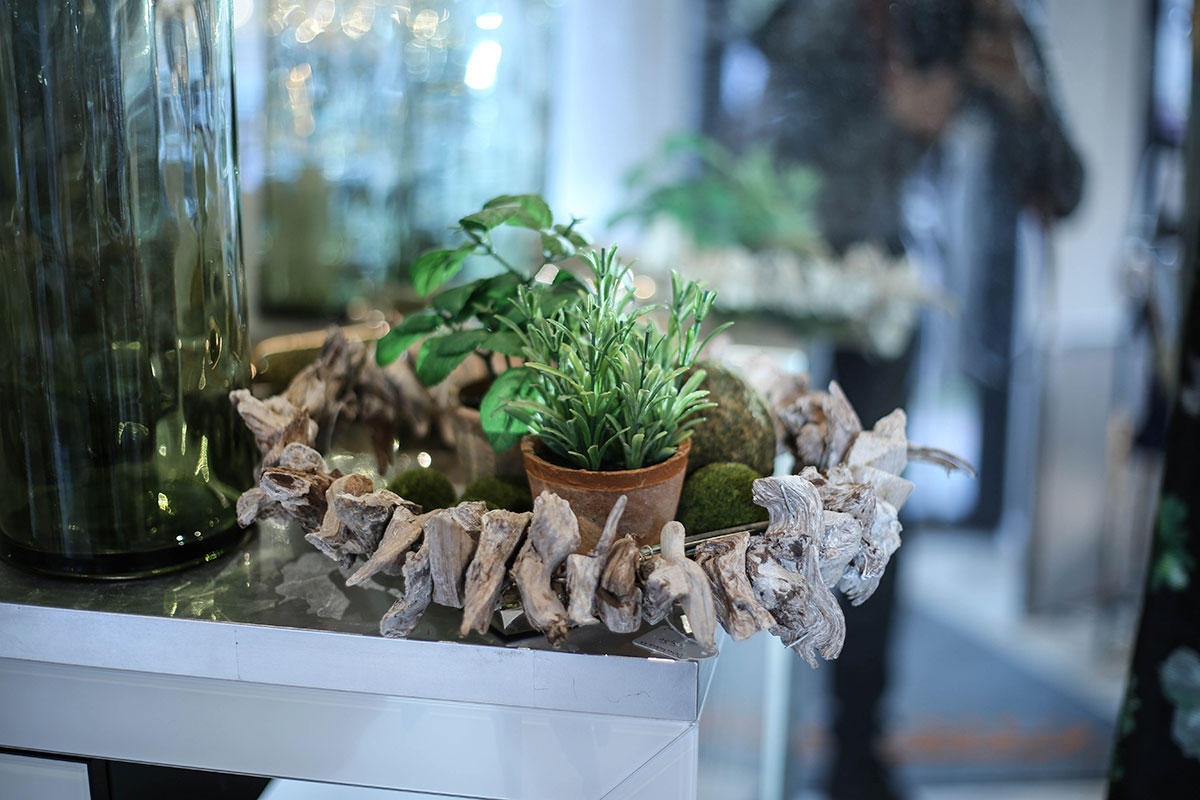 Deko-Detail mit Treibholz und Pflanzen